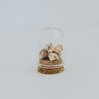 Curiosity Dome Jars