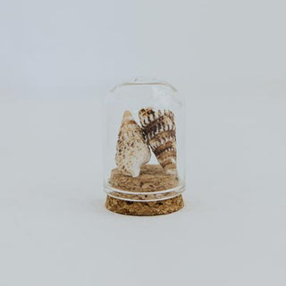Curiosity Dome Jars