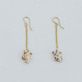 Shell Drop Chain Earrings - Triton Shell