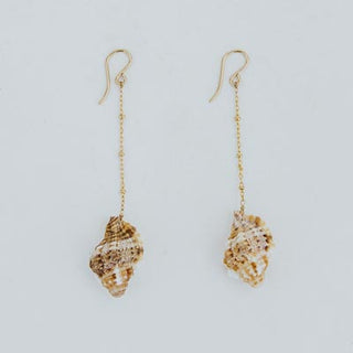 Shell Drop Chain Earrings - Triton Shell