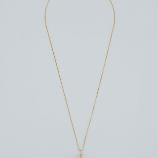 Single Shell Necklace - Granulated Cowrie