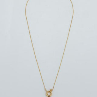 Heart Locket Symphony Necklace
