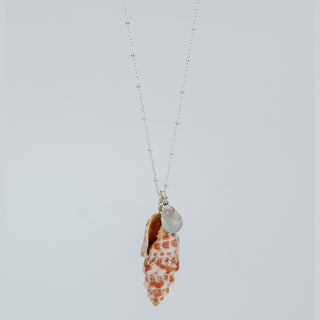 Single Shell Necklace | Miter Shell + Aquamarine