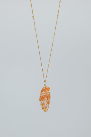 Single Shell Necklace - Miter Shell