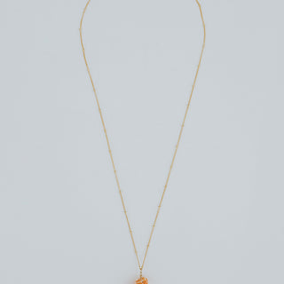 Single Shell Necklace - Miter Shell