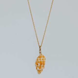 Single Shell Necklace - Miter Shell