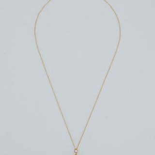 Single Shell Necklace - Miter Shell