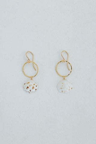 Wings Hawaii petite full circle venus clam shell earrings 14k gold filled