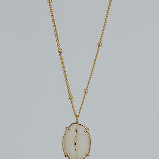 Prong Set Shell Necklace - Cowrie
