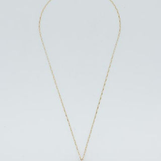 Prong Set Shell Necklace - Petite Cowrie