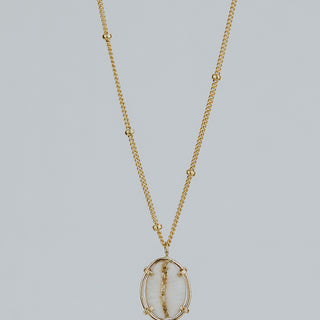 Prong Set Shell Necklace - Cowrie