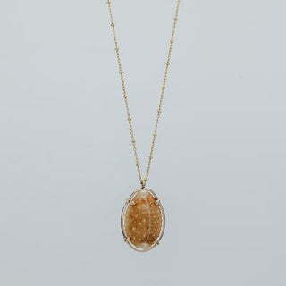Prong Set Shell Necklace - Granulated Cowrie