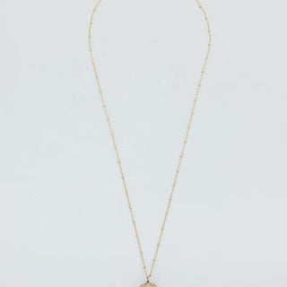 Prong Set Shell Necklace - Granulated Cowrie