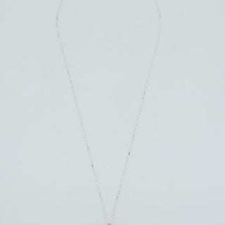 Prong Set Shell Necklace - Granulated Cowrie