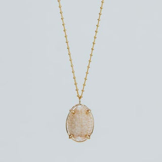 Prong Set Shell Necklace - Granulated Cowrie