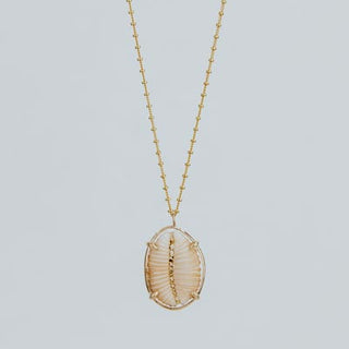 Prong Set Shell Necklace - Granulated Cowrie