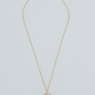 Prong Set Shell Necklace - Granulated Cowrie