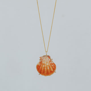 Sunrise Shell Necklace