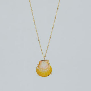 Sunrise Shell Necklace - 16" Chain