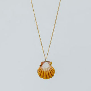 Sunrise Shell Necklace - 16" Chain