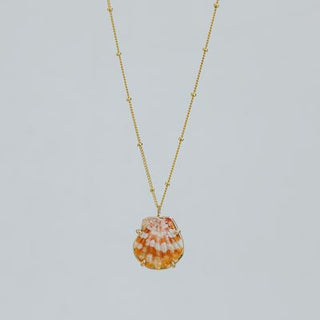 Sunrise Shell Necklace - 16" Chain