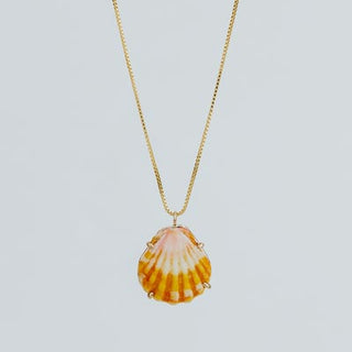 Sunrise Shell Necklace - 16" Chain