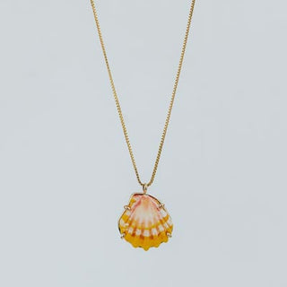 Sunrise Shell Necklace - 16" Chain