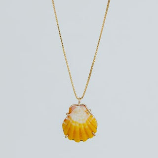 Sunrise Shell Necklace - 16" Chain