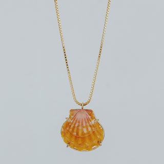 Sunrise Shell Necklace - Medium