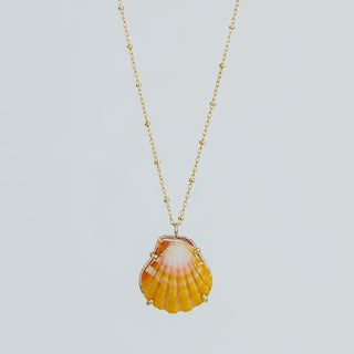 Sunrise Shell Necklace - 16" Chain