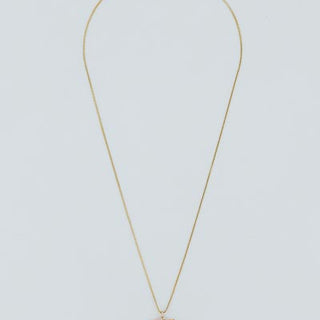 Sunrise Shell Necklace - 18" Chain