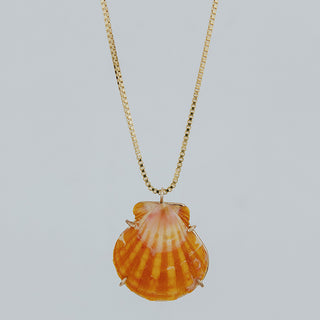 Sunrise Shell Necklace - Medium
