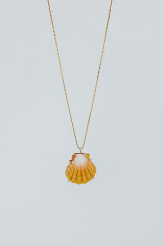 Sunrise Shell Necklace - 18" Chain