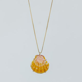 Sunrise Shell Necklace - 18" Chain