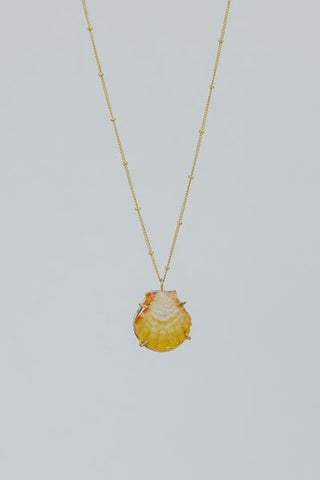 Sunrise Shell Necklace - Satellite Chain
