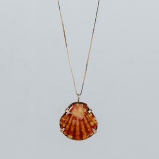 Sunrise Shell Necklace - 14k Rose Gold
