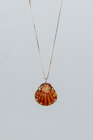 Sunrise Shell Necklace - 14k Rose Gold