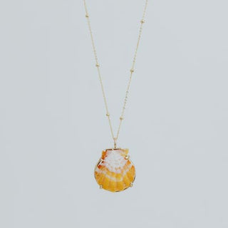 Sunrise Shell Necklace - 14k