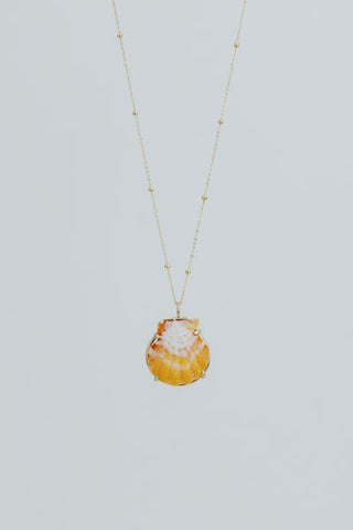 Sunrise Shell Necklace - 14k