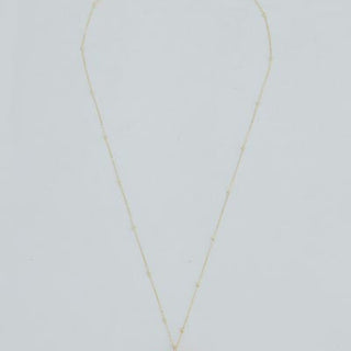 Sunrise Shell Necklace - 14k