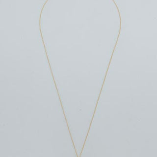 Sunrise Shell Necklace - 14k