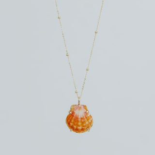 Wings Hawaii prong set sunrise shell necklace 14k yellow gold 
