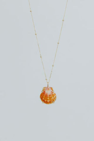 Wings Hawaii prong set sunrise shell necklace 14k yellow gold 