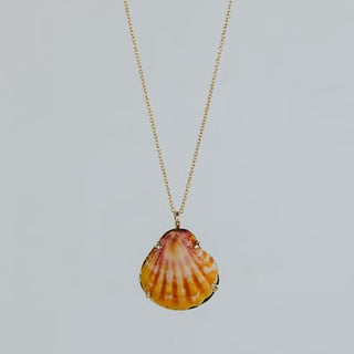 Sunrise Shell Necklace - 14k