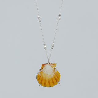 Prong Set Sunrise Shell Necklace - Sterling Silver