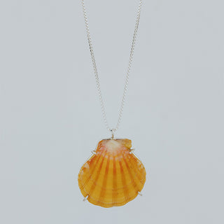 Sunrise Shell Necklace - Large