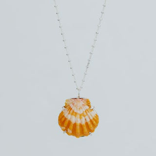 Sunrise Shell Necklace - 16" Chain