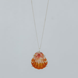 Sunrise Shell Necklace