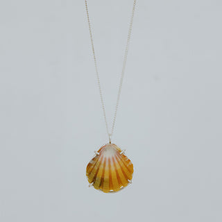 Sunrise Shell Necklace