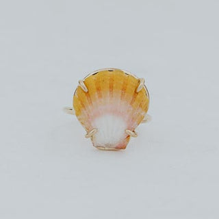 Prong Set Sunrise Shell Ring - GF